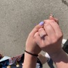 Sophia - Anillo de compromiso de moissanita con piedras laterales en pavé