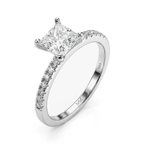 Celestia - Anillo de Moissanita de Talla Princesa con Piedras Laterales en Pavé