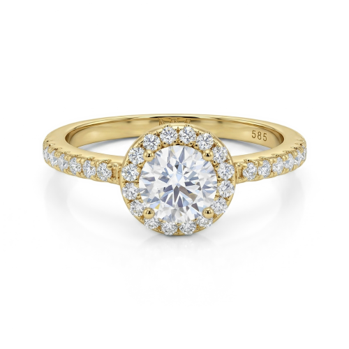 Dynara - Anillo de compromiso de moissanita con halo y aro con pavé